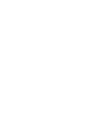 V e F
